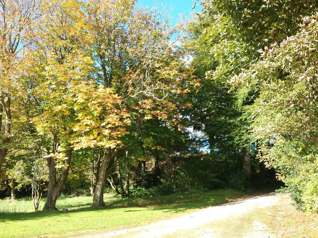 Willowfarmhouse Milford Esterno foto