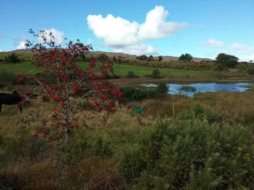 Willowfarmhouse Milford Esterno foto