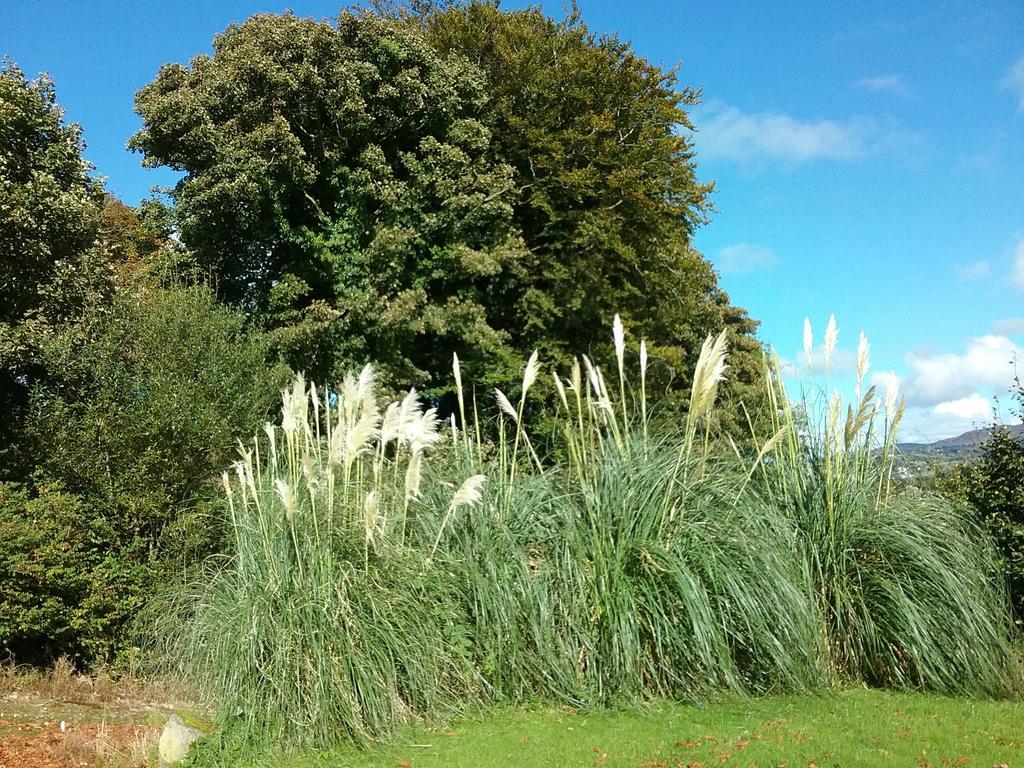 Willowfarmhouse Milford Esterno foto