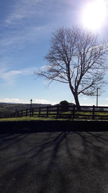Willowfarmhouse Milford Esterno foto